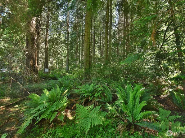 0 XXX East Harbor Road, Freeland, WA 98249