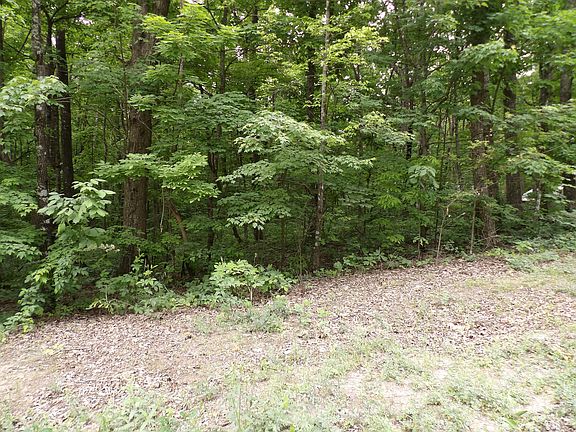 3rd image of 0 W Ridge Rd