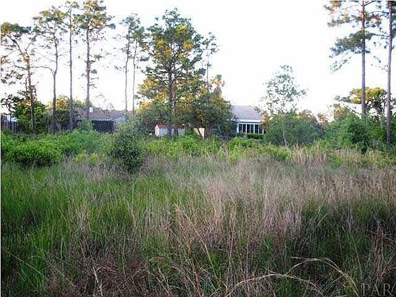 4th image of 4399 Carol Ct
