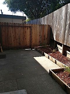 Yard/Patio
