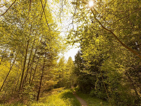 Located close to everything in Redmond Ridge and surrounded by 15 miles of hiking and biking trails