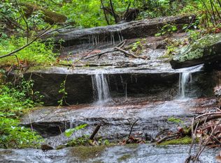 1138 Douglas Mountain Trl, Ellijay, GA 30540