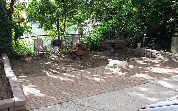 2nd image of 2241 Stratford Ave