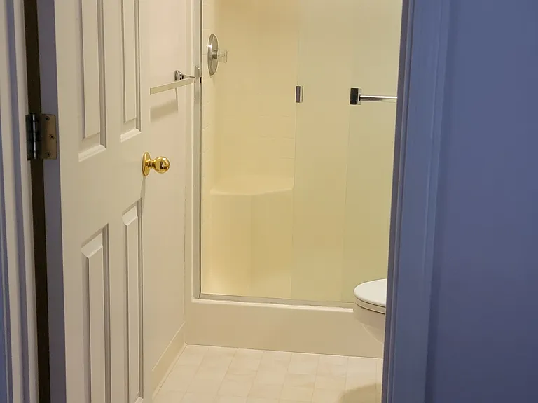 Master Bathroom shower
