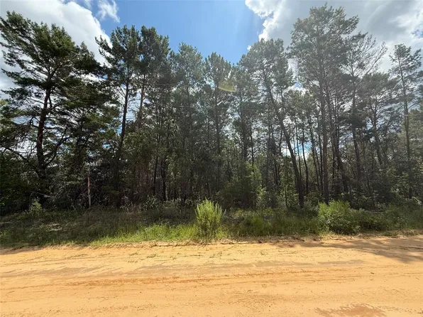 David Ave, Interlachen, FL 32148