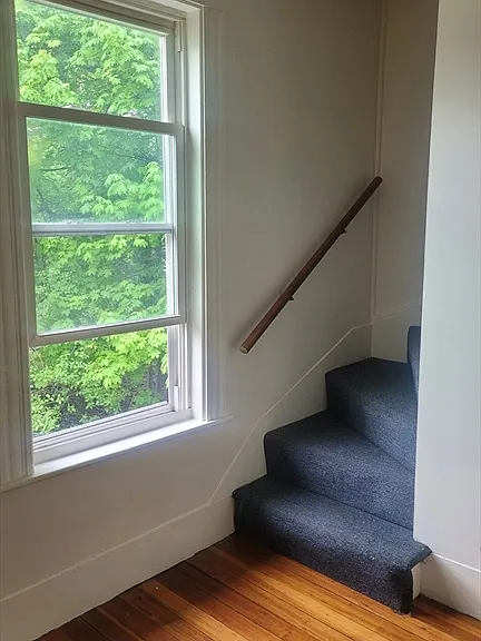 23 Desmond Rd #2 — Photo 13