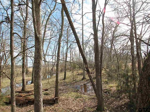 2nd image of Farm Road 1497
