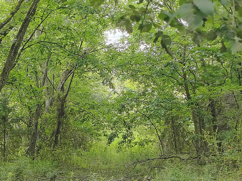 1st image of 000 Highway 65