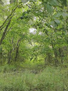 000 Highway 65, Urbana, MO, 65767