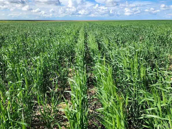County Road 32, Akron, CO 80720