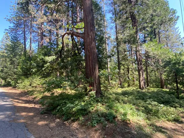 Camp Snowline Rd, Camino, CA 95709