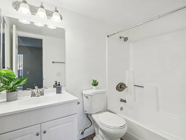 Bathroom View