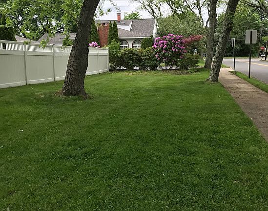 Side Yard