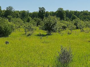 S Ocqueoc Rd, Millersburg, MI 49759