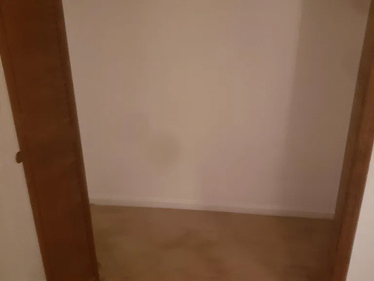 119 Wolfbay Cir — Photo 35