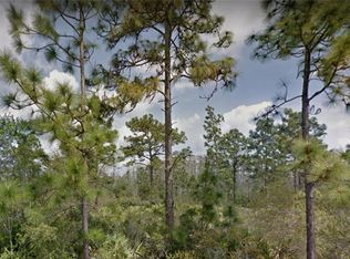 20442 Sabal St, Orlando, FL 32833