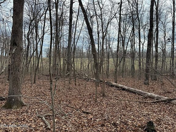 2nd image of 1261 Roanoke Rd