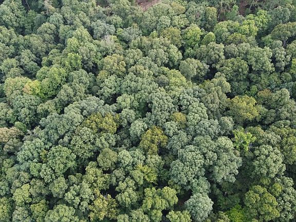 2nd image of 0 Hidden Acres Rd