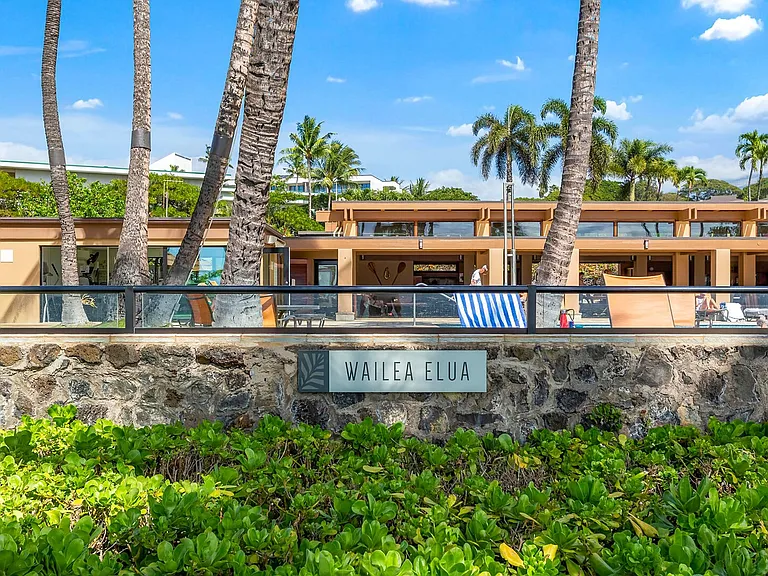 Wailea Alanui Dr — Photo 42