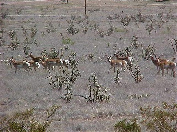 2nd image of 1 Tierra Grande Blvd