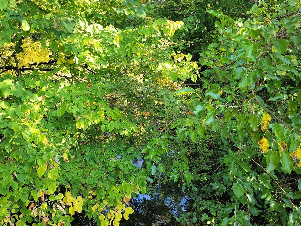 2nd image of 0 Prairie Brook Rd