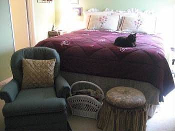 5th image of 428 Hill St APT 13