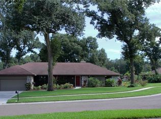 2203 Wildwood Hollow Dr, Valrico, FL 33596