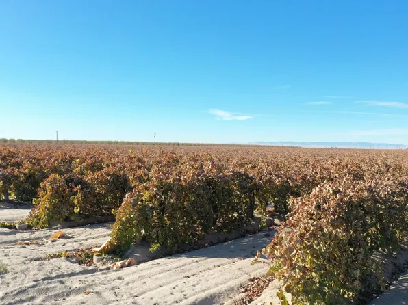 11375 S Bryan Ave, Caruthers, CA 93609