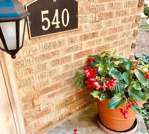 2nd image of 540 W Cornelia Ave APT 1N