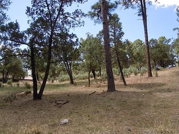 2nd image of 304 High Mesa Dr #3