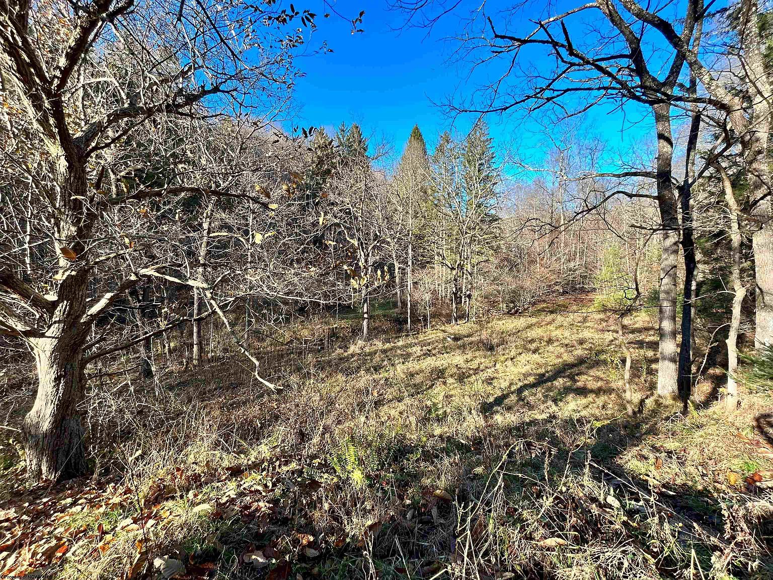 Route 219 Seneca Trl, Hambleton, WV 26269 MLS 10151935 Zillow