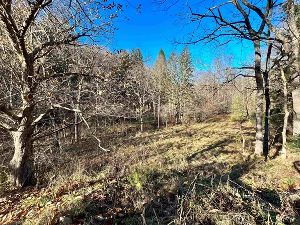 Route 219 Seneca Trl, Hambleton, WV 26269