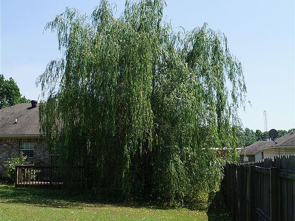 4th image of 2 S Shamsie Dr