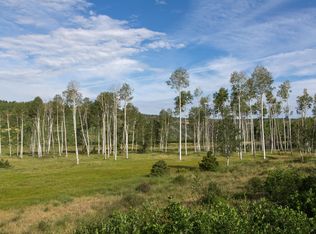 LOT 14 Laughing Dog Rd LOT 14, Placerville, CO 81430