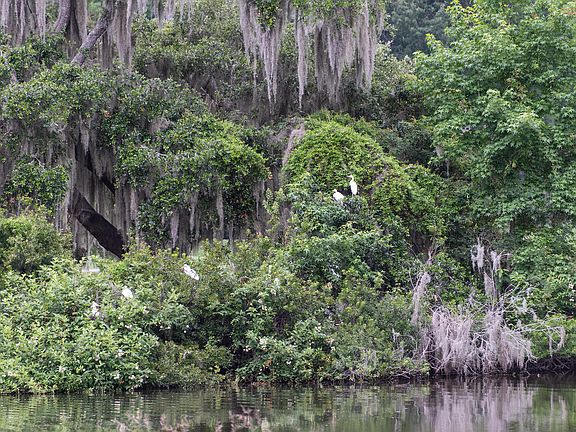 4th image of 47 Heron Walk