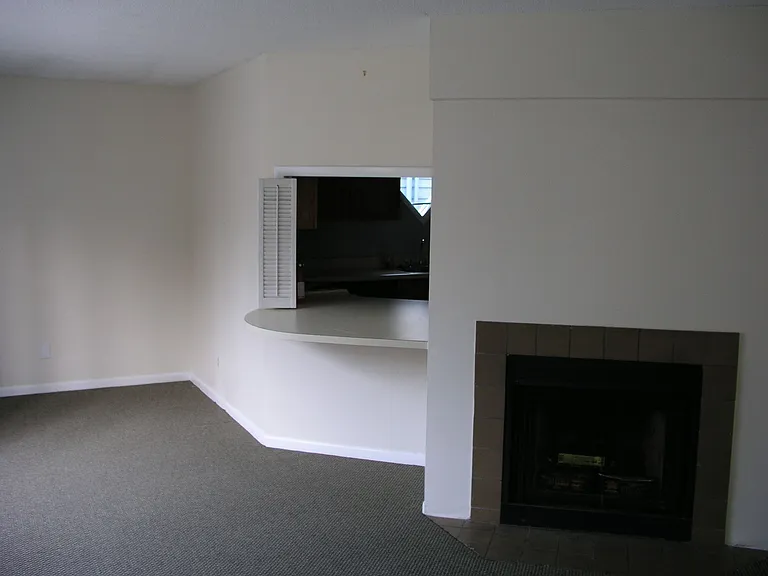 32 Ogier St — Photo 5