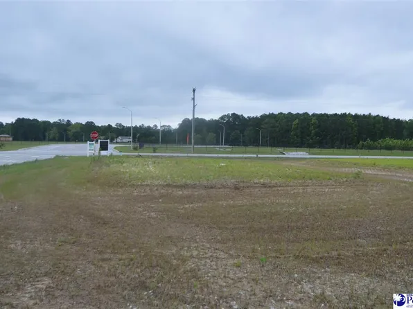 38 Egrets Point, Hartsville, SC 29550