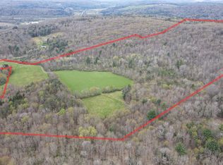 124 Page Rd, Chenango Forks, NY 13746