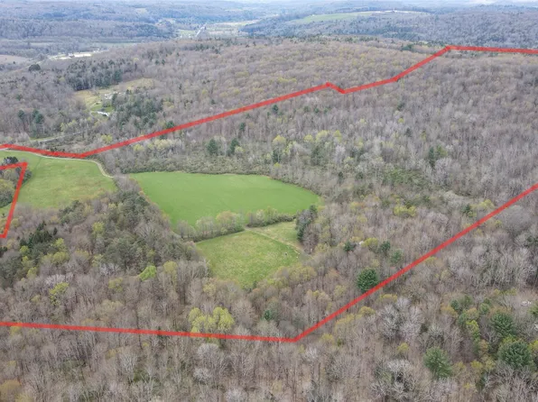 124 Page Rd, Chenango Forks, NY 13746