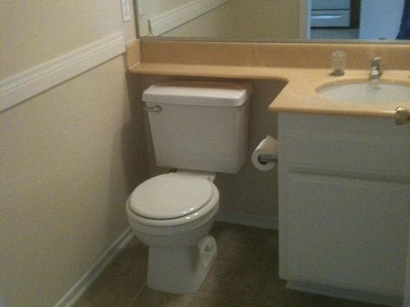 downstairs guest bath