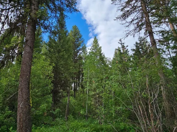 Price Loop, Cascade, ID 83611