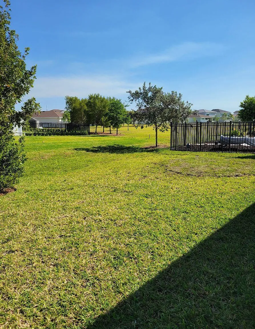 3 bed, 2.0 bath, 1811 sqft, $3,500 — Photo 4