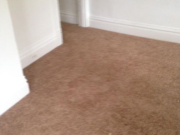 Living room (has new vinyl plank floor not carpeting