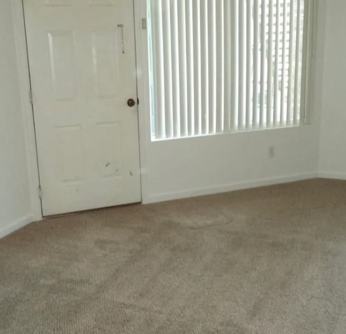 2 bed, 800 sqft, $1,500 — Photo 3