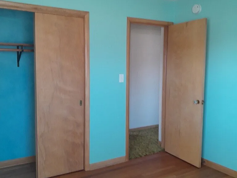 Bedroom 2-Closet