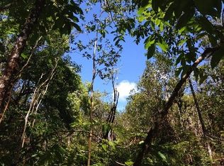 2 Road Ao, Mountain View, HI 96771