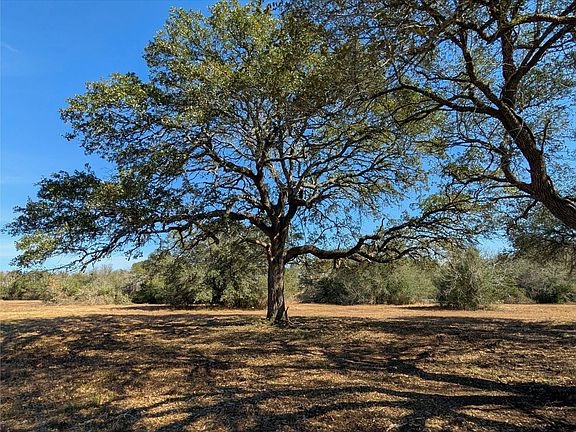 4th image of 9487 Bauer Rd