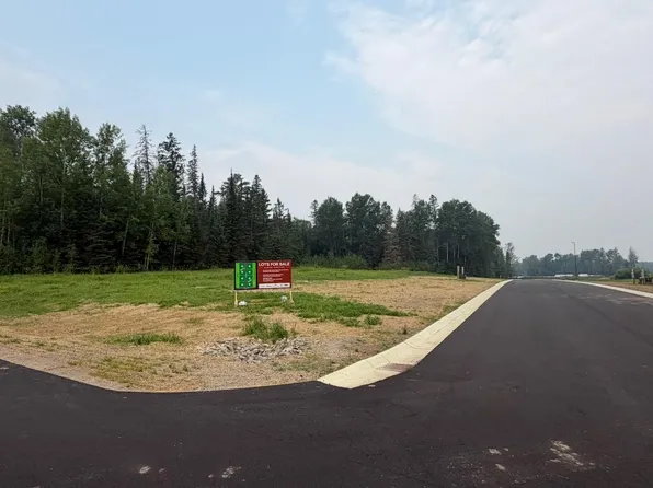 LOT 4 Block 2 Eldien Dr, Cook, MN 55723