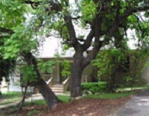 1st image of 10435 MOUNT CROSBY DR