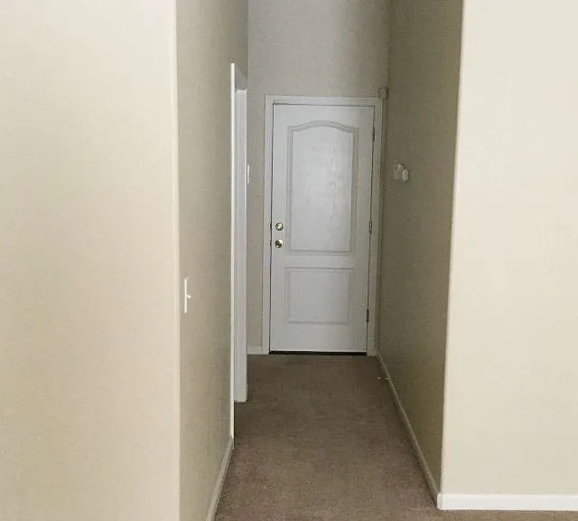 3409 Harvest Hickory Dr — Photo 5
